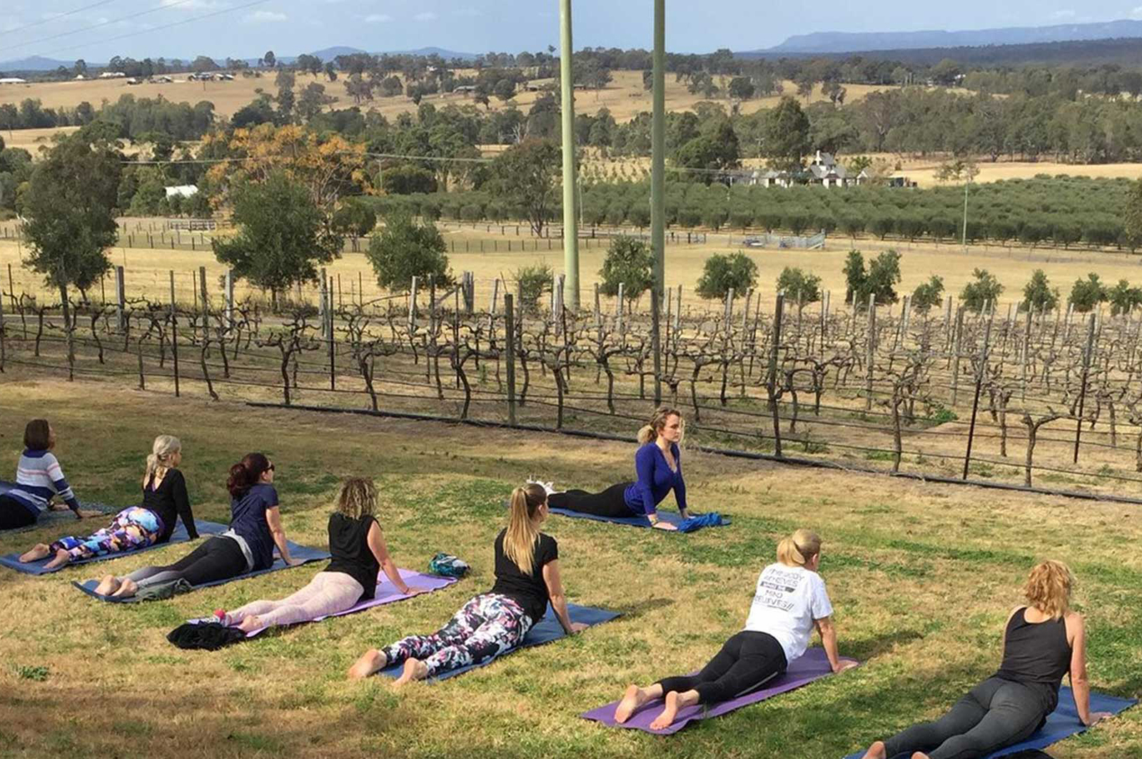 Yoga in the vines