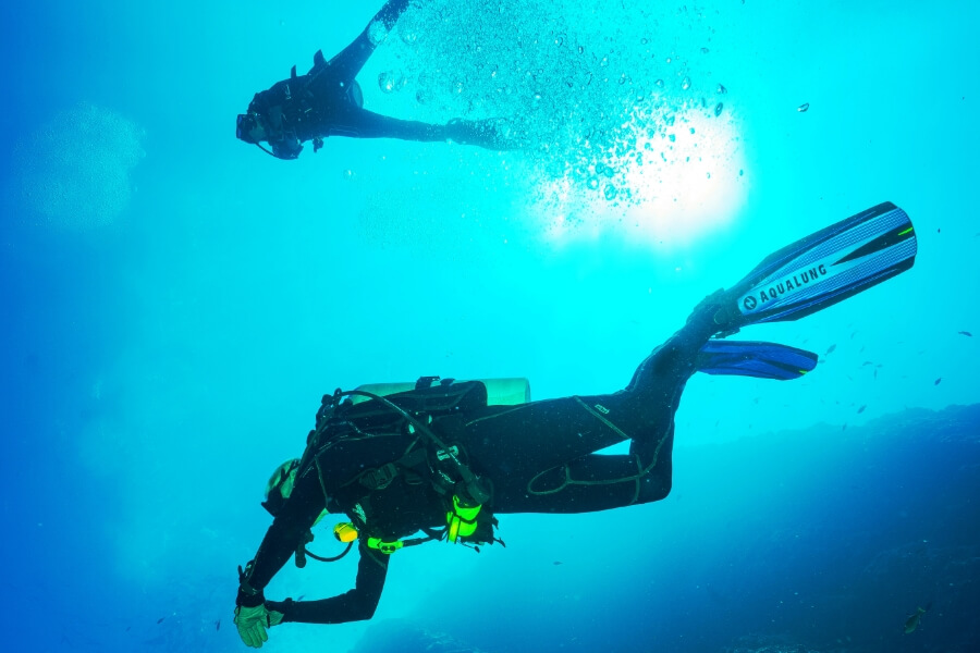 Discover the Sea with a Guided Shore dive