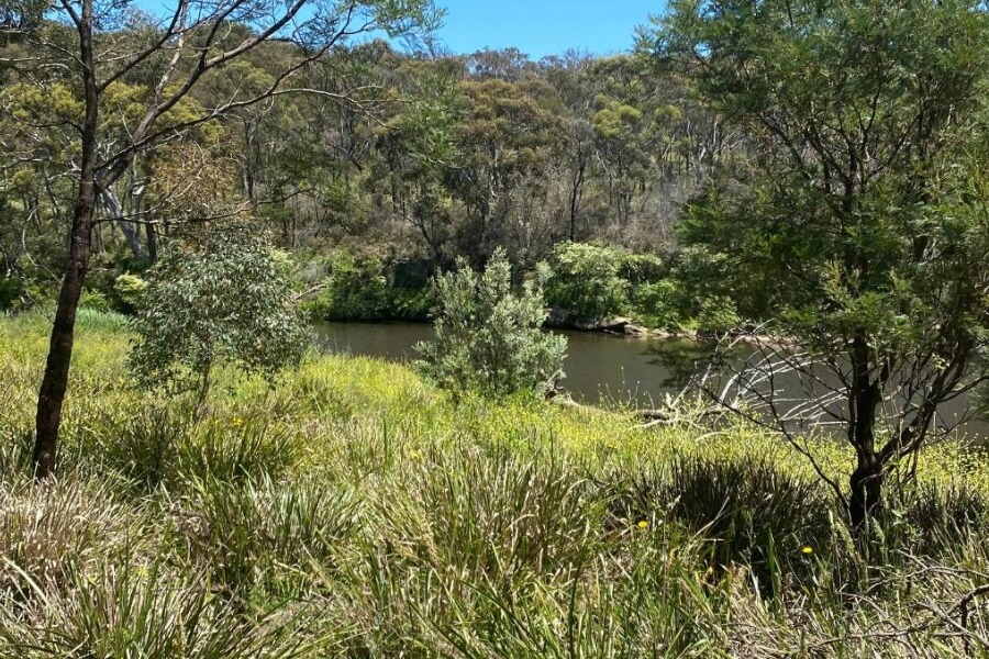 Berrima River