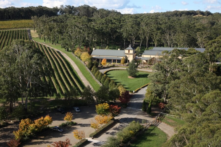 Lunch and Wine tasting at Centennial Vineyard