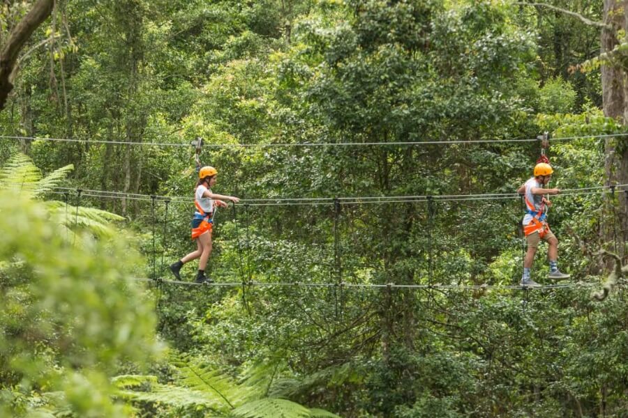 Illawarra Fly Treetop adventures