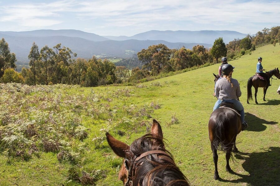 Horse riding at Chum Creek Creek Horseriding and Huts